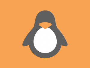 Kernel Linux 4.8