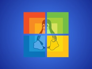 Fundación Linux